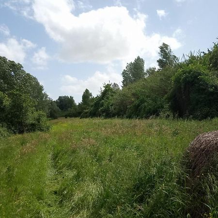 Az.Agricola Agriturismo La Locanda Di Lann Lejlighed Fucecchio Eksteriør billede