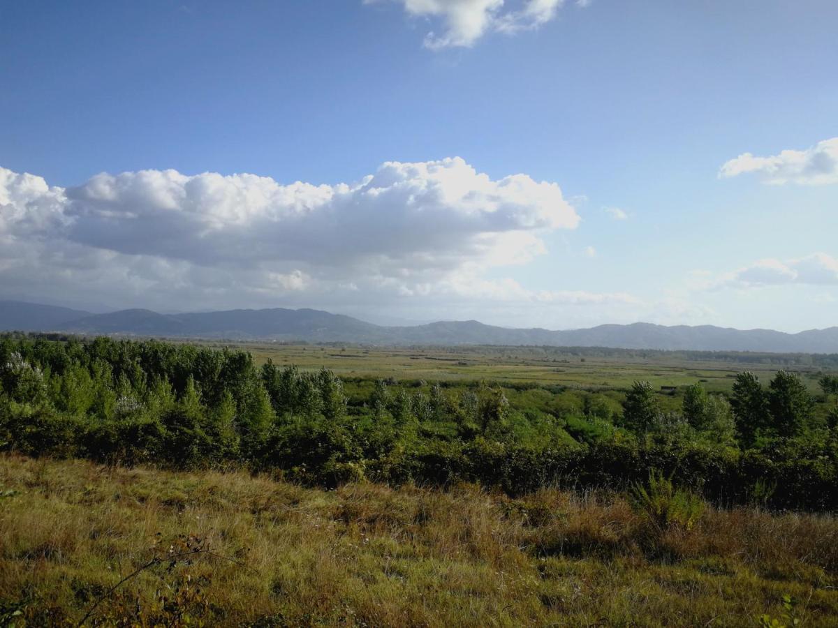 Az.Agricola Agriturismo La Locanda Di Lann Lejlighed Fucecchio Eksteriør billede
