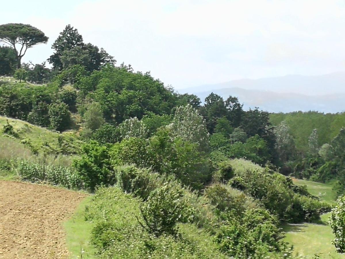 Az.Agricola Agriturismo La Locanda Di Lann Lejlighed Fucecchio Eksteriør billede