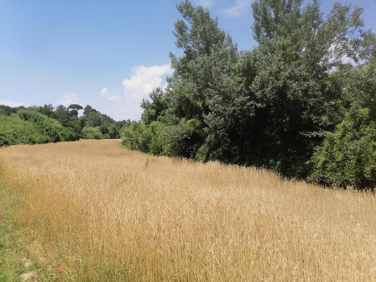 Az.Agricola Agriturismo La Locanda Di Lann Lejlighed Fucecchio Eksteriør billede