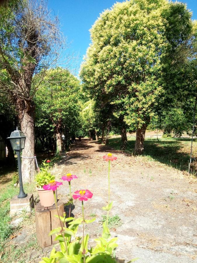 Az.Agricola Agriturismo La Locanda Di Lann Lejlighed Fucecchio Eksteriør billede
