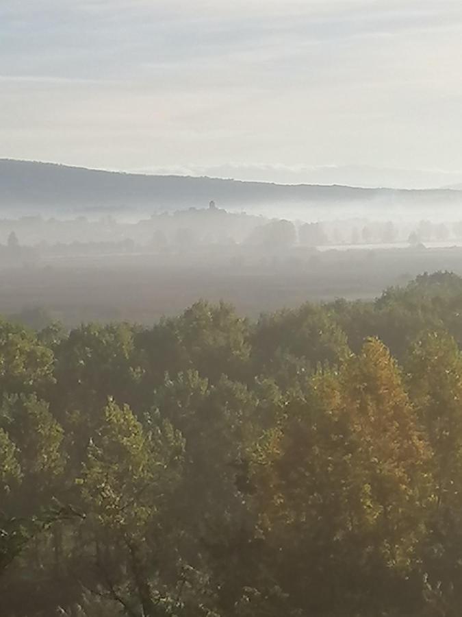 Az.Agricola Agriturismo La Locanda Di Lann Lejlighed Fucecchio Eksteriør billede