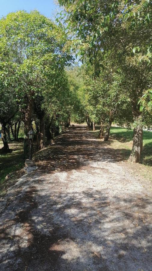 Az.Agricola Agriturismo La Locanda Di Lann Lejlighed Fucecchio Eksteriør billede