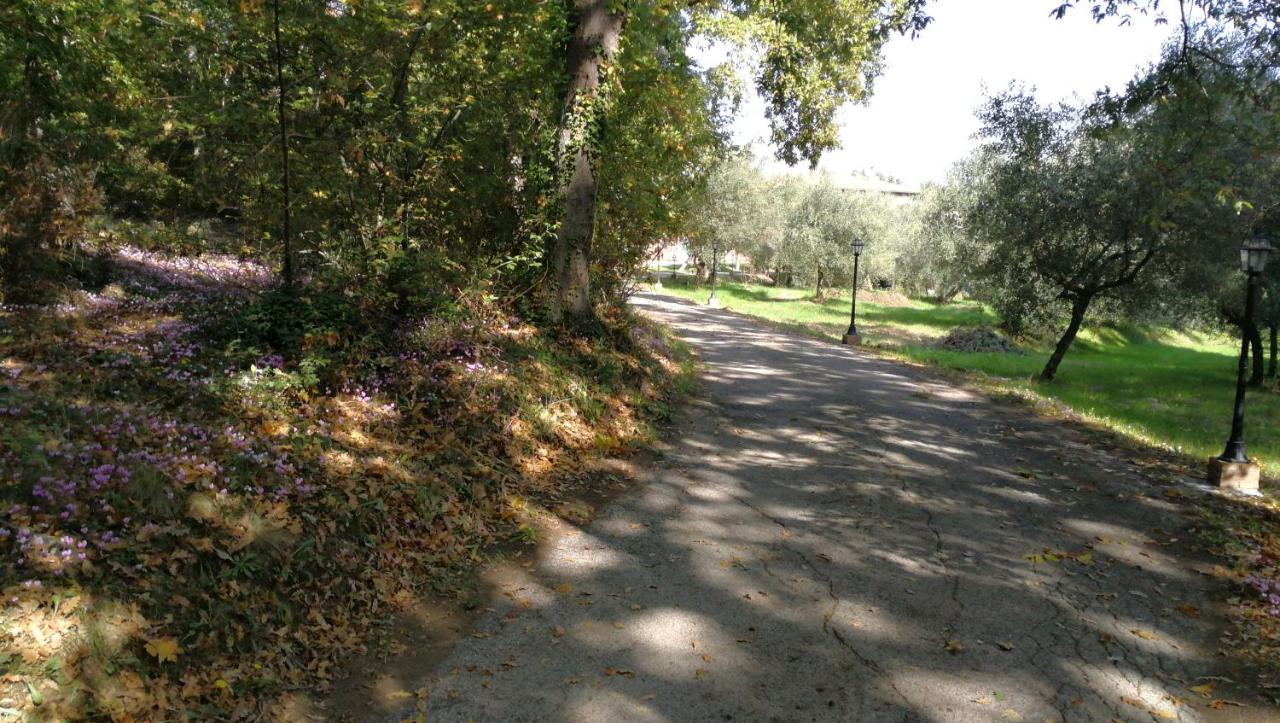Az.Agricola Agriturismo La Locanda Di Lann Lejlighed Fucecchio Eksteriør billede
