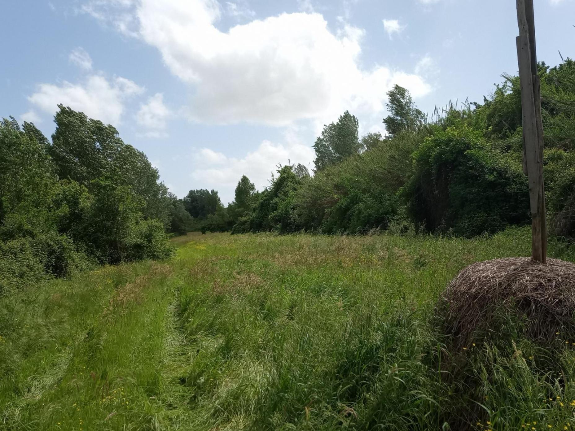 Az.Agricola Agriturismo La Locanda Di Lann Lejlighed Fucecchio Eksteriør billede