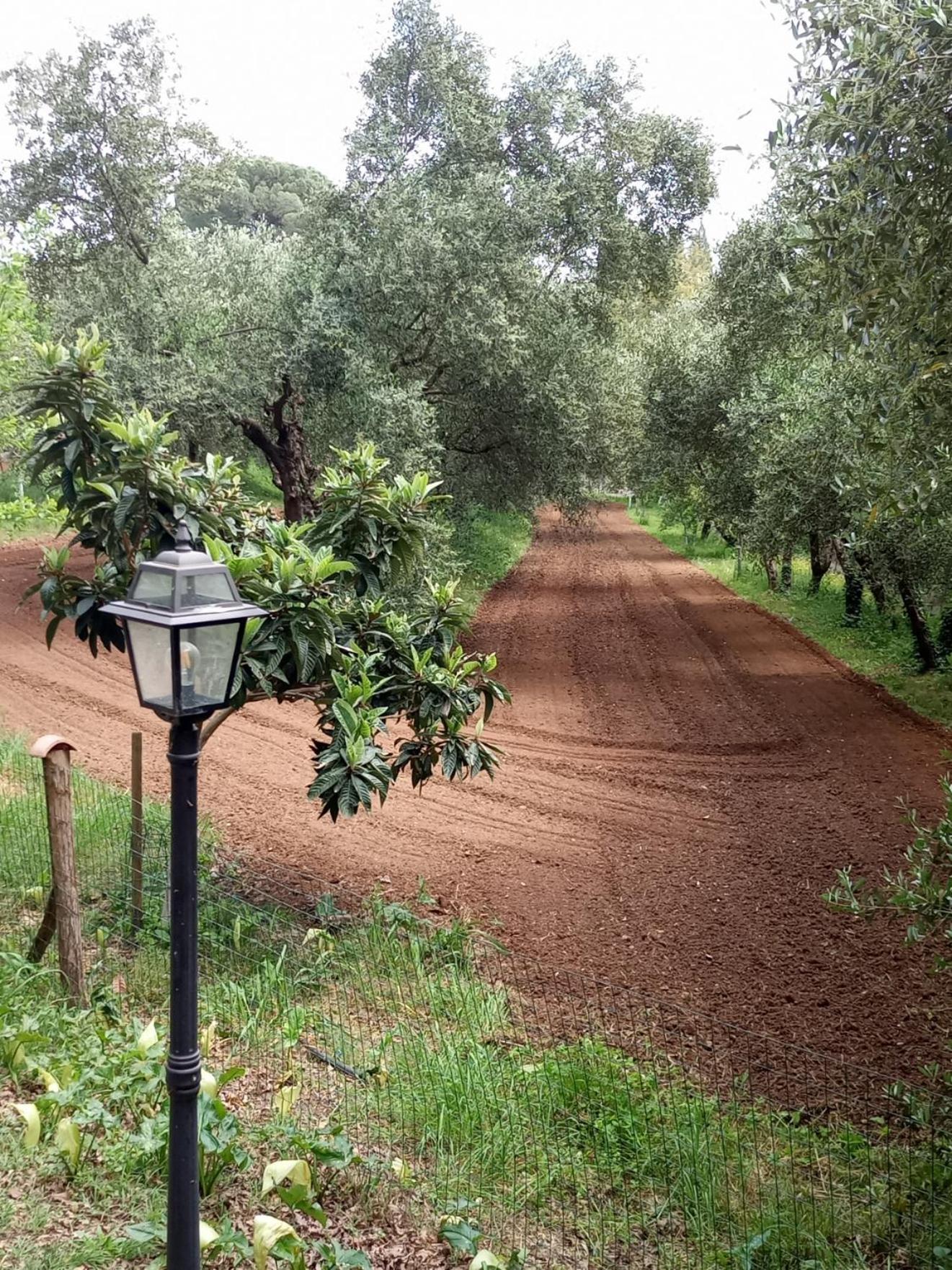 Az.Agricola Agriturismo La Locanda Di Lann Lejlighed Fucecchio Eksteriør billede