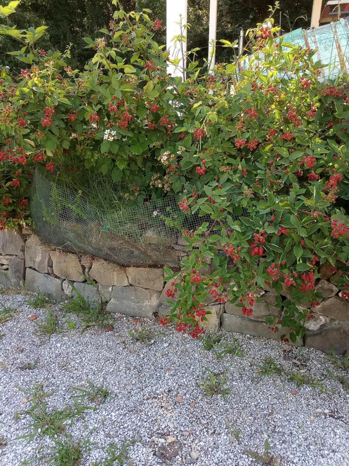 Az.Agricola Agriturismo La Locanda Di Lann Lejlighed Fucecchio Eksteriør billede